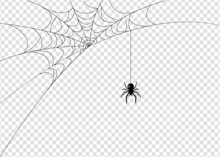 Spider With Isolated Transparent Background With Gradient Mesh, Vector Illustrationのイラスト素材