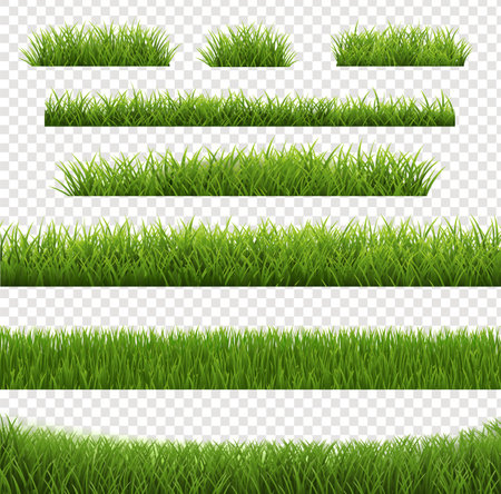 Green grass border Set And Isolated Transparent Backgroundのイラスト素材