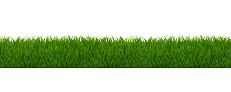 Grass Border And Isolated White Background, Vector Illustrationのイラスト素材