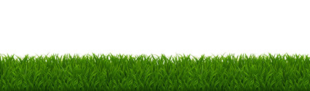 Grass Border Isolated White Background, Vector Illustrationのイラスト素材