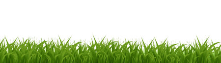 Grass Frame Set Isolated White Background, Vector Illustrationのイラスト素材