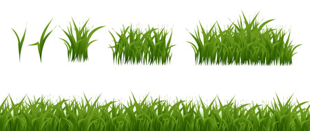 Grass Texture Green Border Collection, Vector Illustrationのイラスト素材