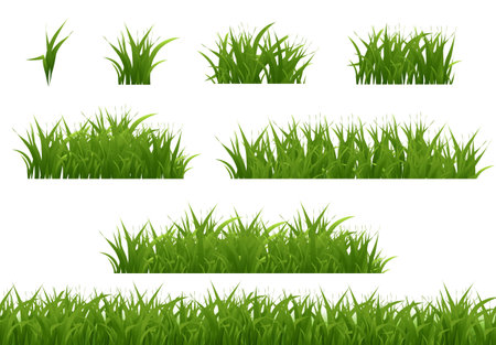 Grass Big Collection With White Background, Vector Illustrationのイラスト素材
