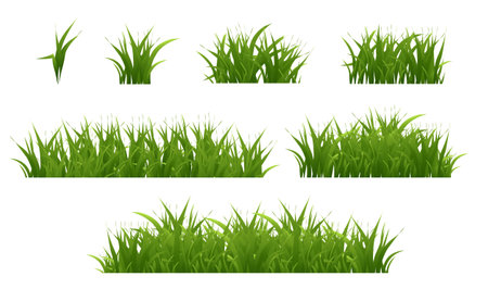 Green Grass Big Set With White Background, Vector Illustrationのイラスト素材