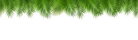 Green Palm Leaf Border Isolated White Background With Gradient Mesh, Vector Illustrationのイラスト素材