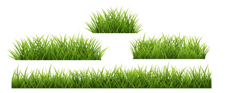 Green grass set. Realistic illustration of green grass set for web designのイラスト素材