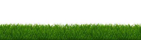 Green Grass Border Isolated White With Gradient Mesh, Vector Illustrationのイラスト素材