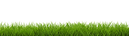 Grass Frame With Isolated White Background With Gradient Mesh, Vector Illustrationのイラスト素材