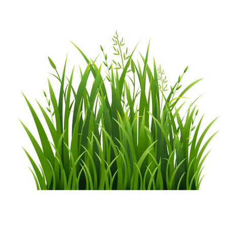 Green Grass With White Background, Vector Illustrationのイラスト素材