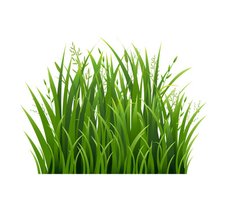 Green Grass And Isolated White background, Vector Illustrationのイラスト素材