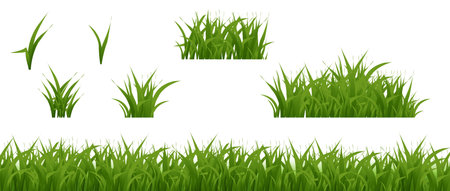 Grass Texture Green Border Collection, Vector Illustrationのイラスト素材