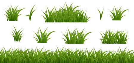 Green Grass With White background, Vector Illustrationのイラスト素材