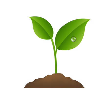 Green Sprout With White background With Gradient Mesh, Vector Illustrationのイラスト素材