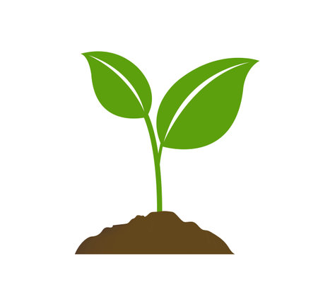 Green Sprout With White background With Gradient Mesh, Vector Illustrationのイラスト素材