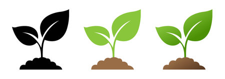 Sprout Set Isolated White background, Vector Illustrationのイラスト素材