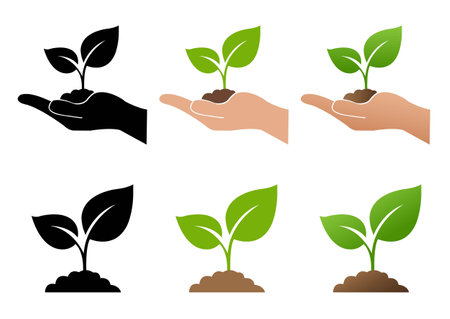 Sprout In The Palms  Collection, Vector Illustrationのイラスト素材