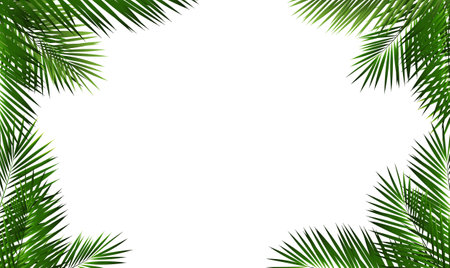 Frame With Palm Leaf Isolated And White Background With Gradient Mesh, Vector Illustrationのイラスト素材