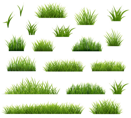 Grass Borders Set Isolated White Background With Gradient Mesh, Vector Illustrationのイラスト素材