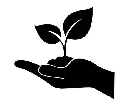 Sprout In The Palms, Vector Illustrationのイラスト素材
