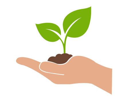 Sprout In The Palms Symbol, Vector Illustrationのイラスト素材