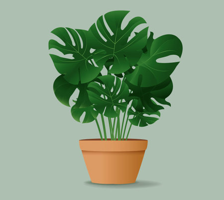 Flower Monstera In Pot Isolated Mint Background With Gradient Mesh, Vector Illustrationのイラスト素材