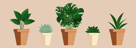 Flowers In Pot Isolated Pastel Background, Vector Illustrationのイラスト素材