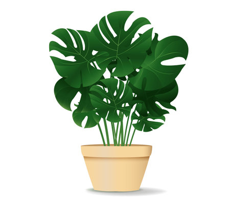 Flower Monster In Pot Isolated White Background With Gradient Mesh, Vector Illustrationのイラスト素材