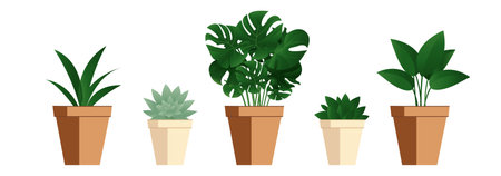 ,Flowers In Pot Isolated White Background Vector Illustrationのイラスト素材