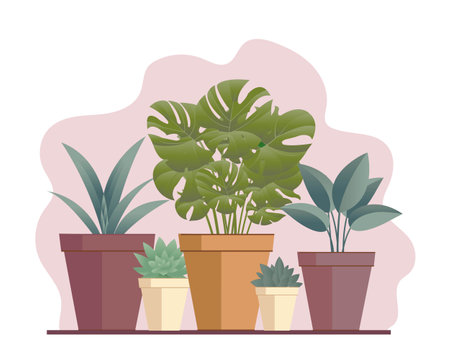 Flat Illustration House Flowers In Pot With Pink Background, Vector Illustrationのイラスト素材