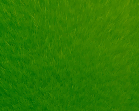 Green Grass Texture Nature Background, Vector Illustrationのイラスト素材