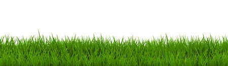 Green Grass Border With Isolated White Background Vector Illustrationのイラスト素材