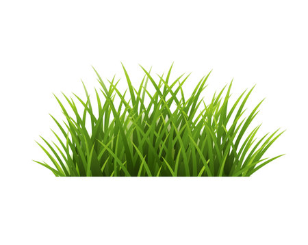 Green Grass Isolated White Background With Gradient Mesh, Vector Illustrationのイラスト素材