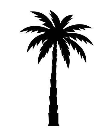 Palm Tree And Isolated White Background, Vector Illustrationのイラスト素材