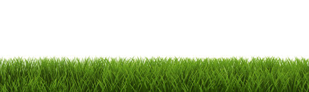 Green Frame Border And White Background, Vector Illustrationのイラスト素材