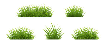 Green Grass Set Isolated Background, Vector Illustrationのイラスト素材