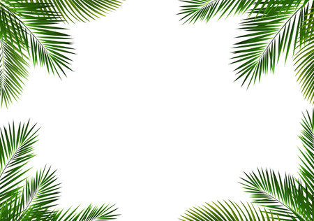 Green Palm Branch Isolated White Background With Gradient Mesh, Vector Illustrationのイラスト素材