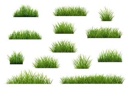 Green Grass Borders Set Isolated With Gradient Mesh, Vector Illustrationのイラスト素材