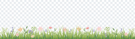 Spring Border Flowers And Grass Transparent Background, Vector Illustrationのイラスト素材