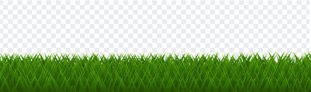 Grass Border With Transparent Background, Vector Illustrationのイラスト素材