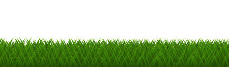 Grass Border With White Background, Vector Illustrationのイラスト素材