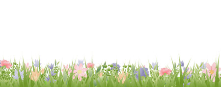 Spring Grass And F;owers White Background, Vector Illustrationのイラスト素材