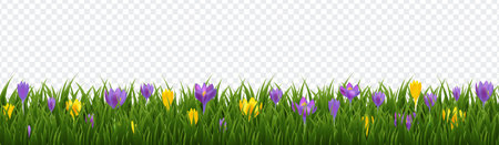 Spring Flowers Border With Green Grass With Gradient Mesh, Vector Illustrationのイラスト素材