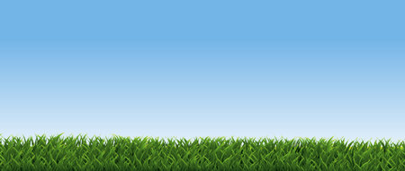 Spring Poster With Green Grass, Vector Illustrationのイラスト素材