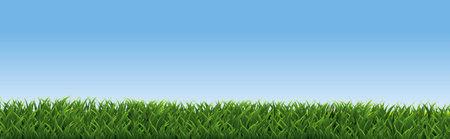 Green Grass And Blue Sky, Vector Illustrationのイラスト素材