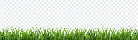 Springn Border Flowers And Grass Transparent Background, Vector Illustrationのイラスト素材
