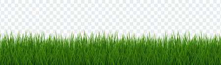 Green Grass Border Isolated Transparent Background With Gradient Mesh, Vector Illustrationのイラスト素材