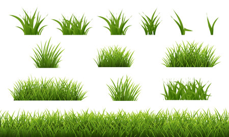 Green Grass Border Isolated White Background With Gradient Mesh, Vector Illustrationのイラスト素材