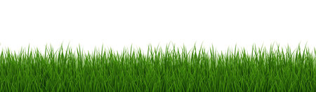 Green Grass Border Isolated And White Background With Gradient Mesh, Vector Illustrationのイラスト素材