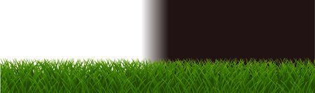 Green Grass Isolated With White And Black Background, Vector Illustrationのイラスト素材