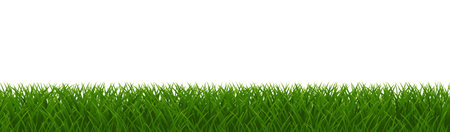 Green Grass Isolated White Background, Vector Illustrationのイラスト素材